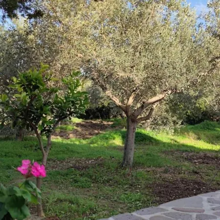 Casa Su Rimediu In With A Garden *